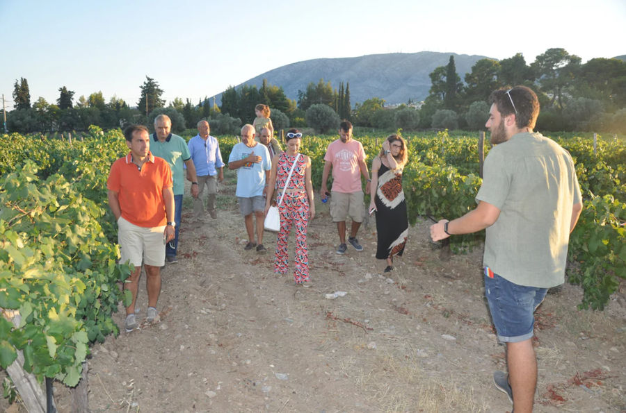 Στιγμιότυπο οθόνης 2025-11-17 181345.png